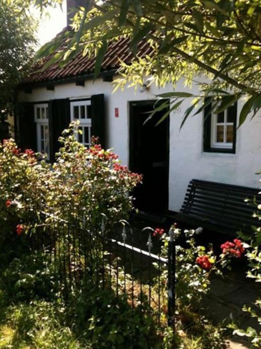 Lovely By The Seaside * Sluis